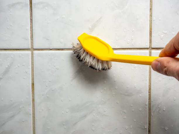 Reliable Booneville, AR Mold Removal Solutions